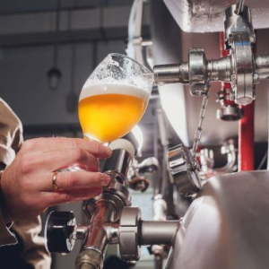 Das Tasting im Detail – was euch erwartet